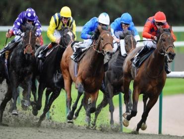 http://betting.betfair.com/horse-racing/Lingfield%20Park%203.jpg